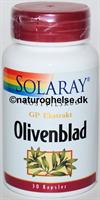 Olivenblad GP Ekstrakt Solaray